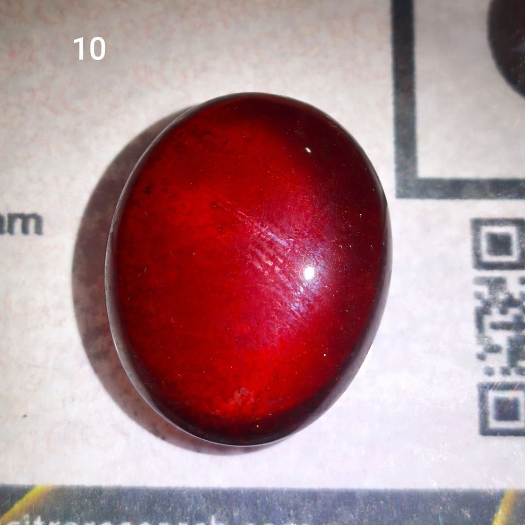 Red garnet black mamba sertifikat