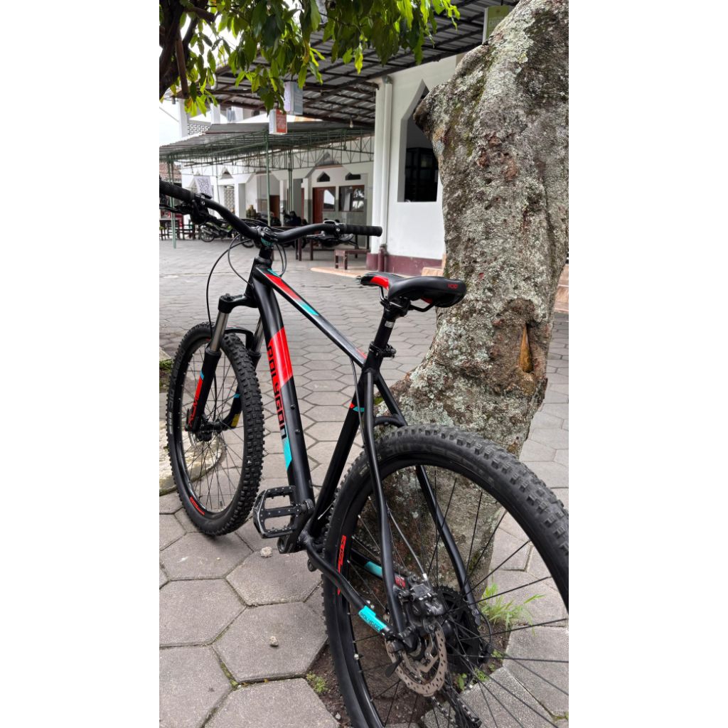 MTB Polygon Xtrada 5 size L 27,5 (sepeda bekas)