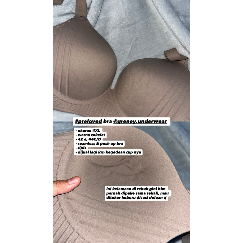 [Preloved] Greney - Push up & Seamless Bra