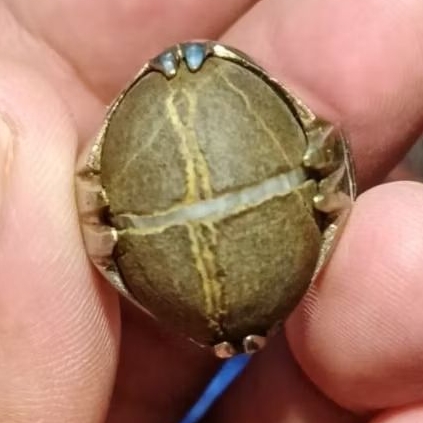 BATU PAMOR TAPAK JALAK URAT EMAS DAN PUTIH