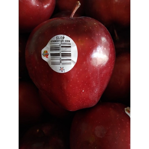 Apel Merah Red Washington Premium Manis Empuk per dus 18kg