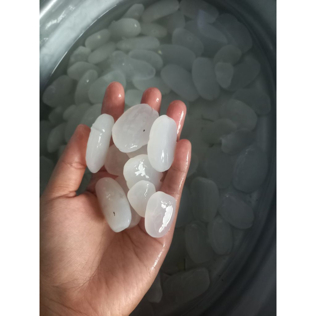 kolang kaling premium / kolang kaling bahan manisan