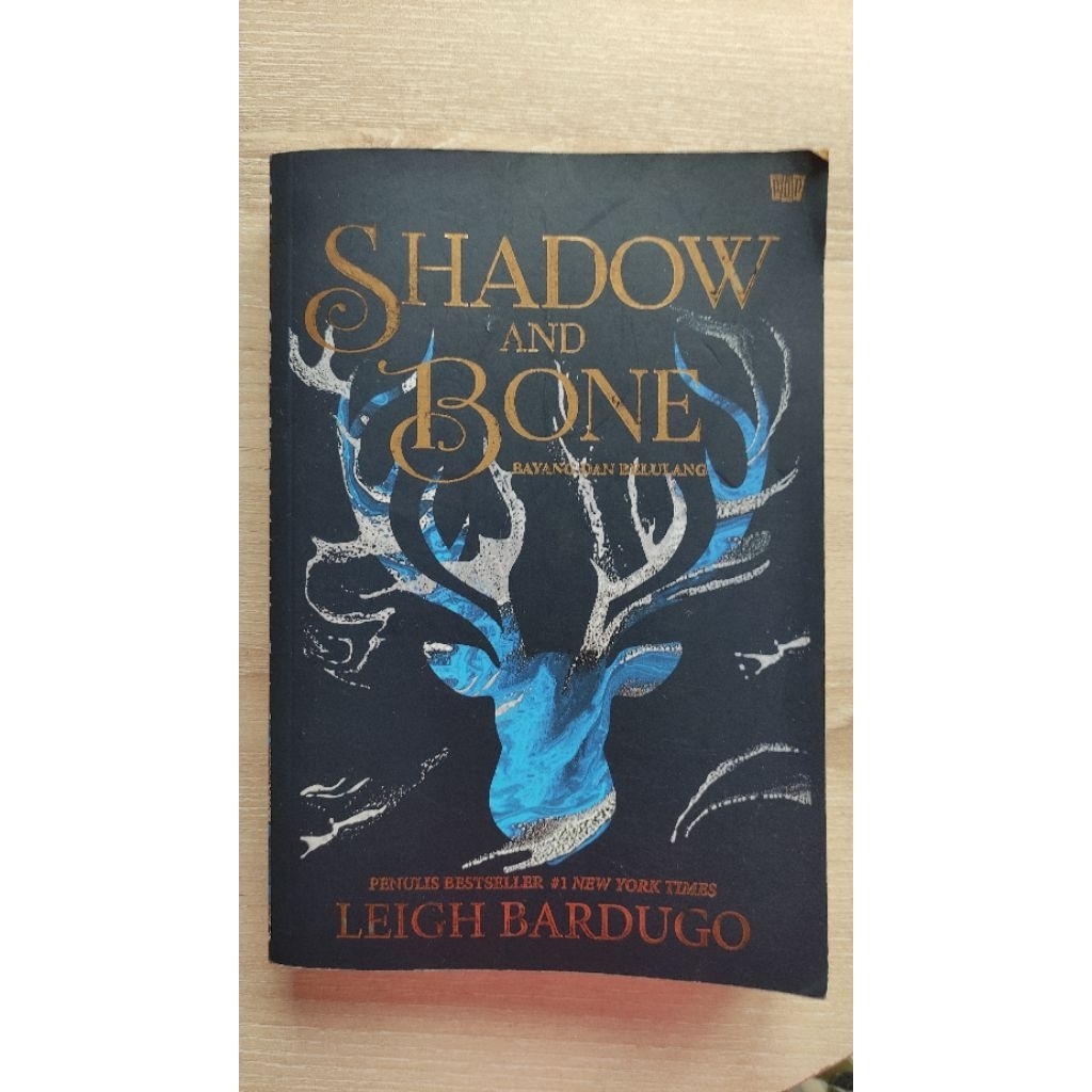Buku Novel Shadow and Bone
