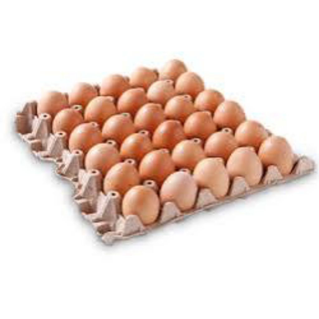 Telur Ayam Negeri ukuran sedang 1 krat