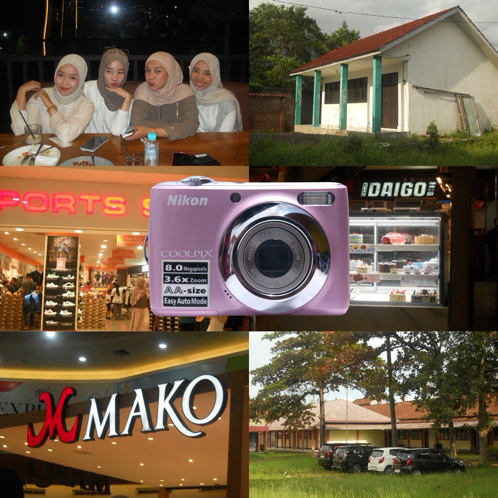 nikon coolpix L21 pink digicam