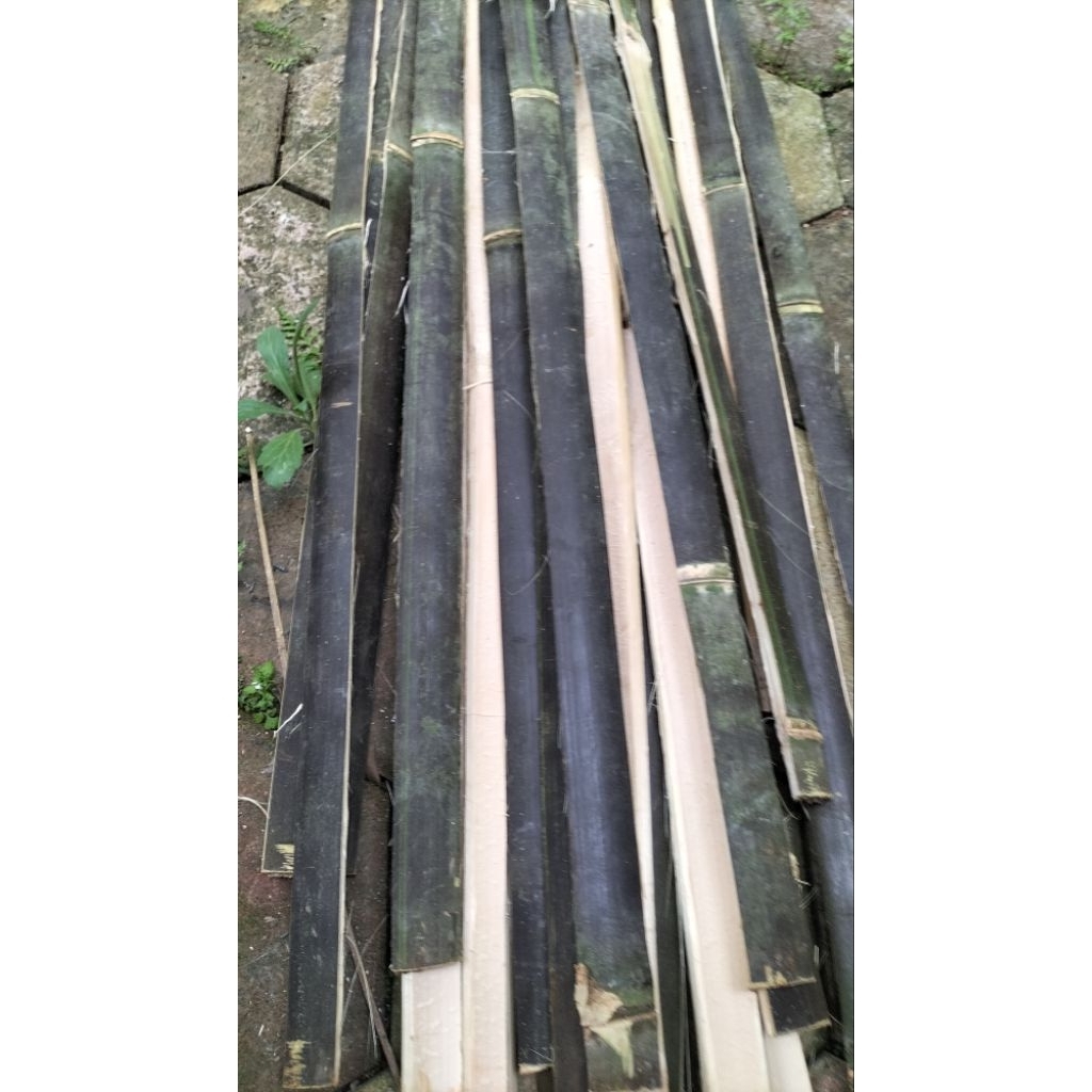 bambu hitam/bambu belah isi12 panjang100cm