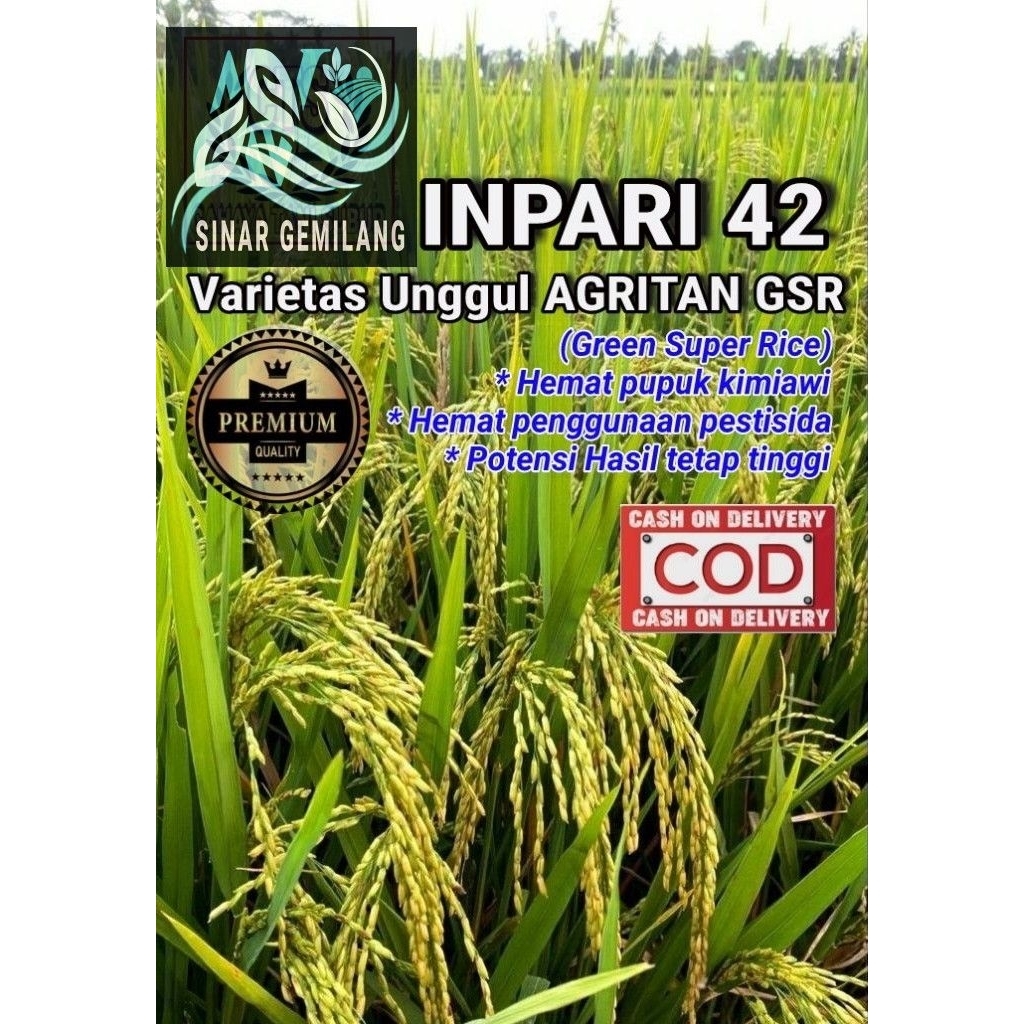 Benih Padi Unggul varietas Inpari 42 GSR (5Kg)