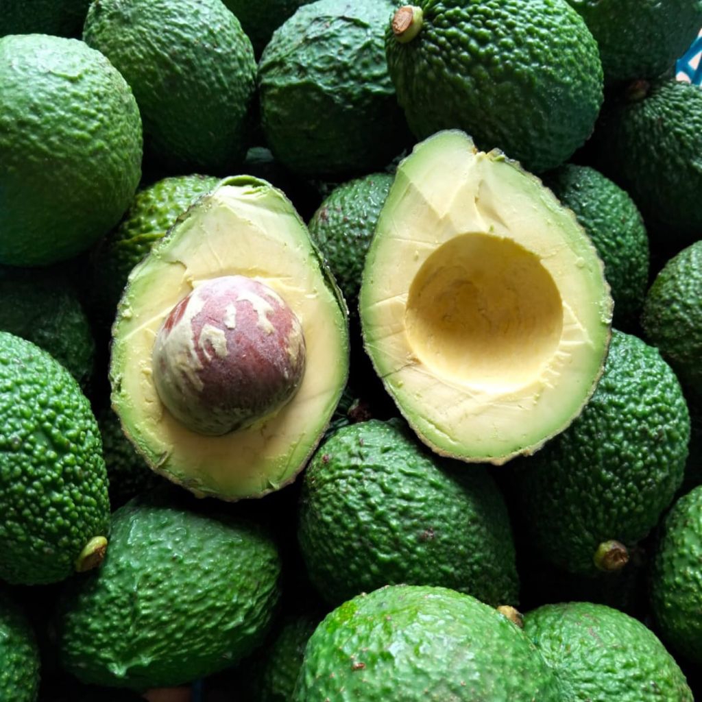 Alpukat Hass 1 Kg (4-5 biji/kg) | Kualitas Premium Organik