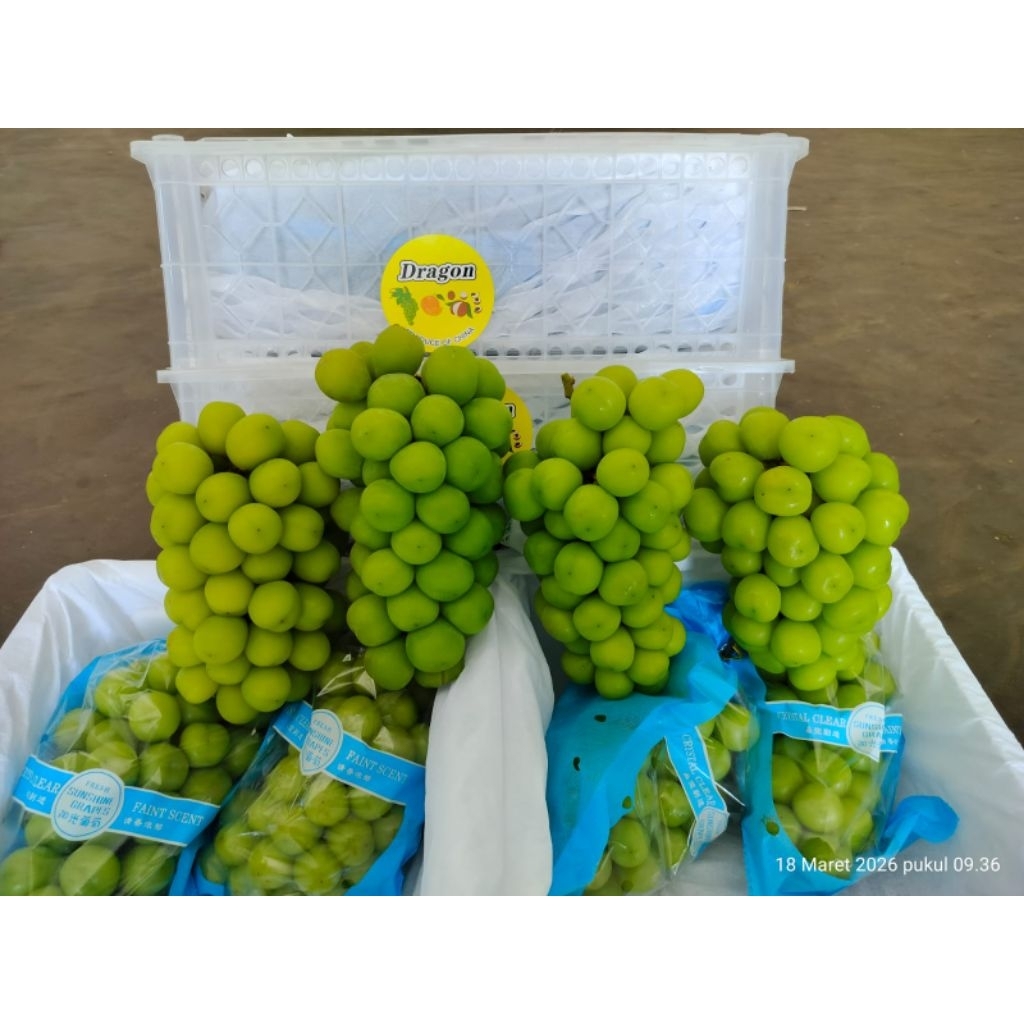 Anggur Hijau Muscat
