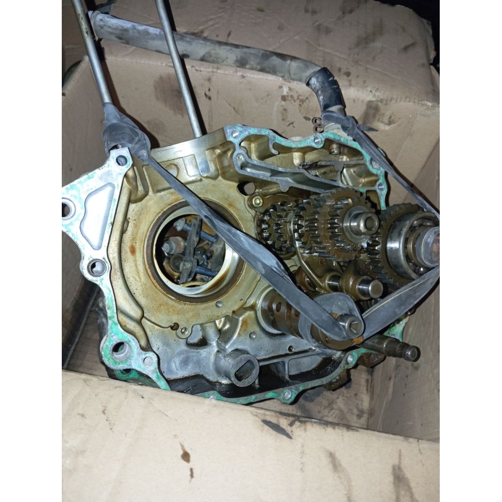 Rasio Megapro Primus