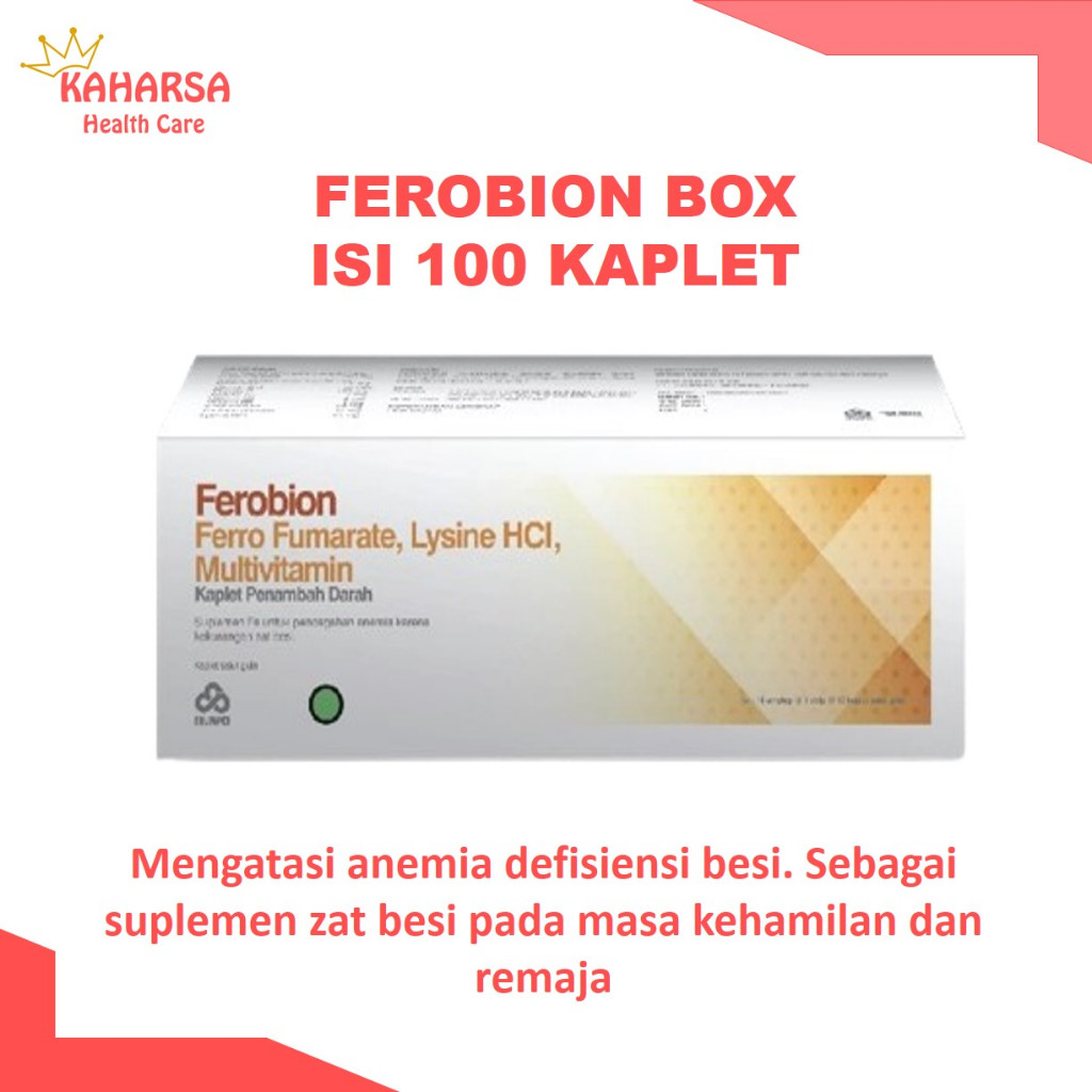 FEROBION BOX ISI 100 KAPLET