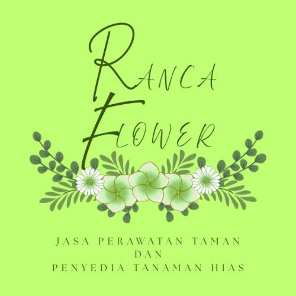 Tanaman hias Mawar minion