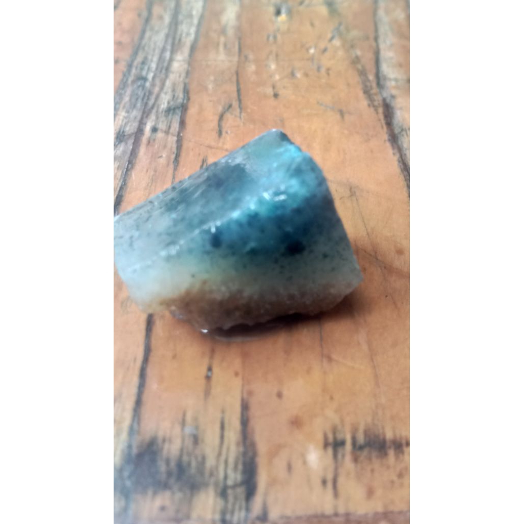 Bahan Bacan Doko Majiko BIRU Albino Natural