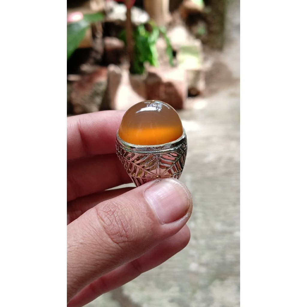 natural cincin batu akik gold obi nukleus giwang crystal hq
