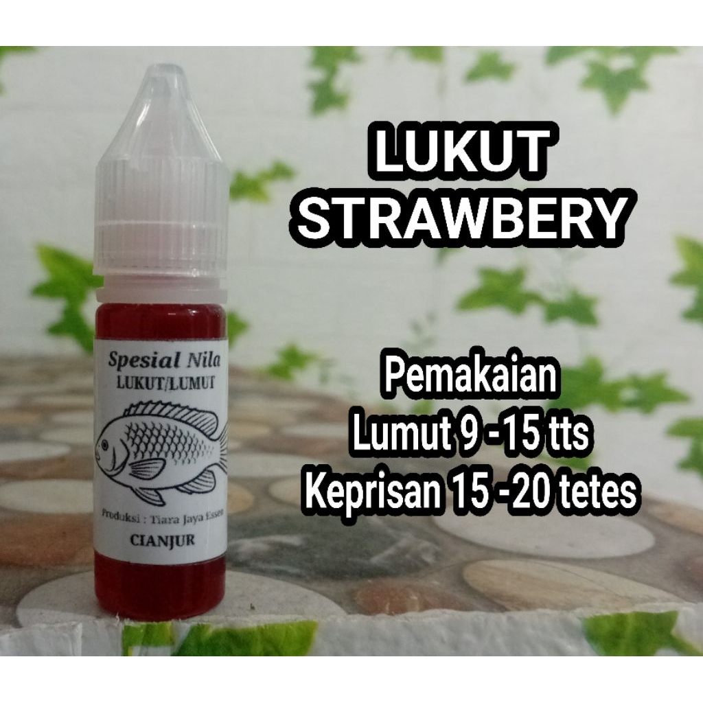 Essen Spesial Lumut kepris