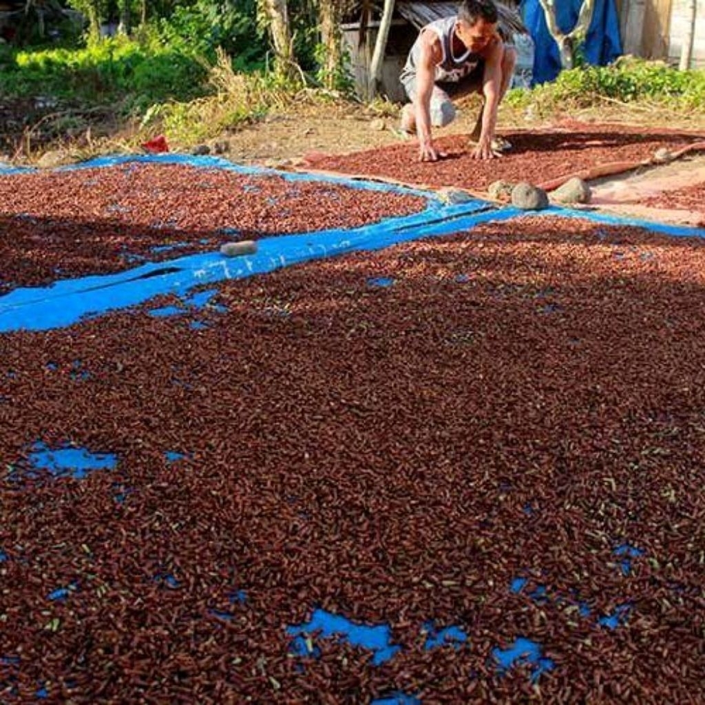Cengkeh Murah Berkualitas 1Kg