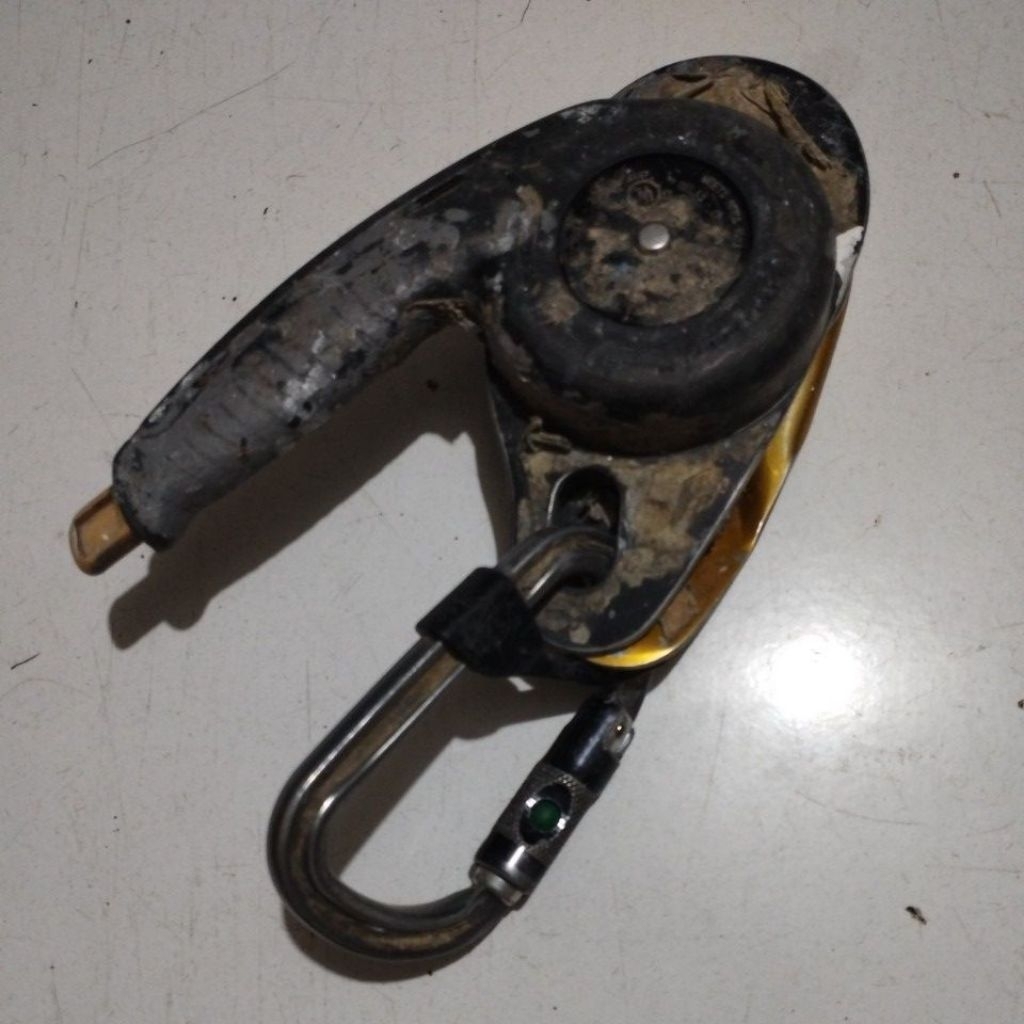 Ids Petzl Carabiner