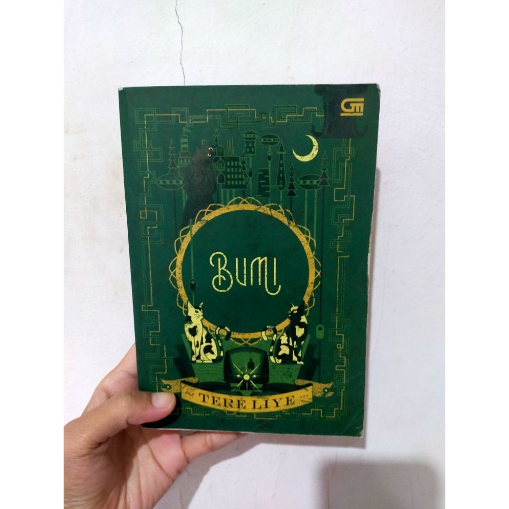 Buku Bekas Original - Bumi (Tere Liye)