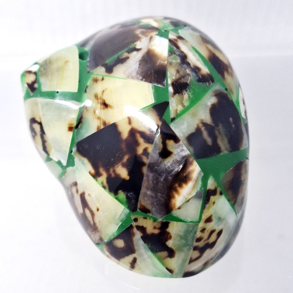 Cangkang Rumah Kelomang Berlapis Kulit Kerang (Hijau)