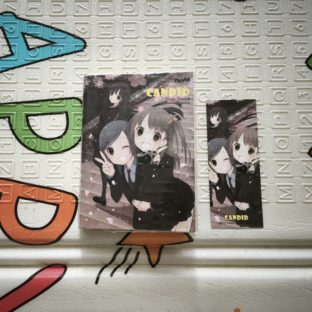 Light Novel Candid Obata Yasumi Iizuka Haruko Shining Rose Media LN Candid  Lite Novel Candid