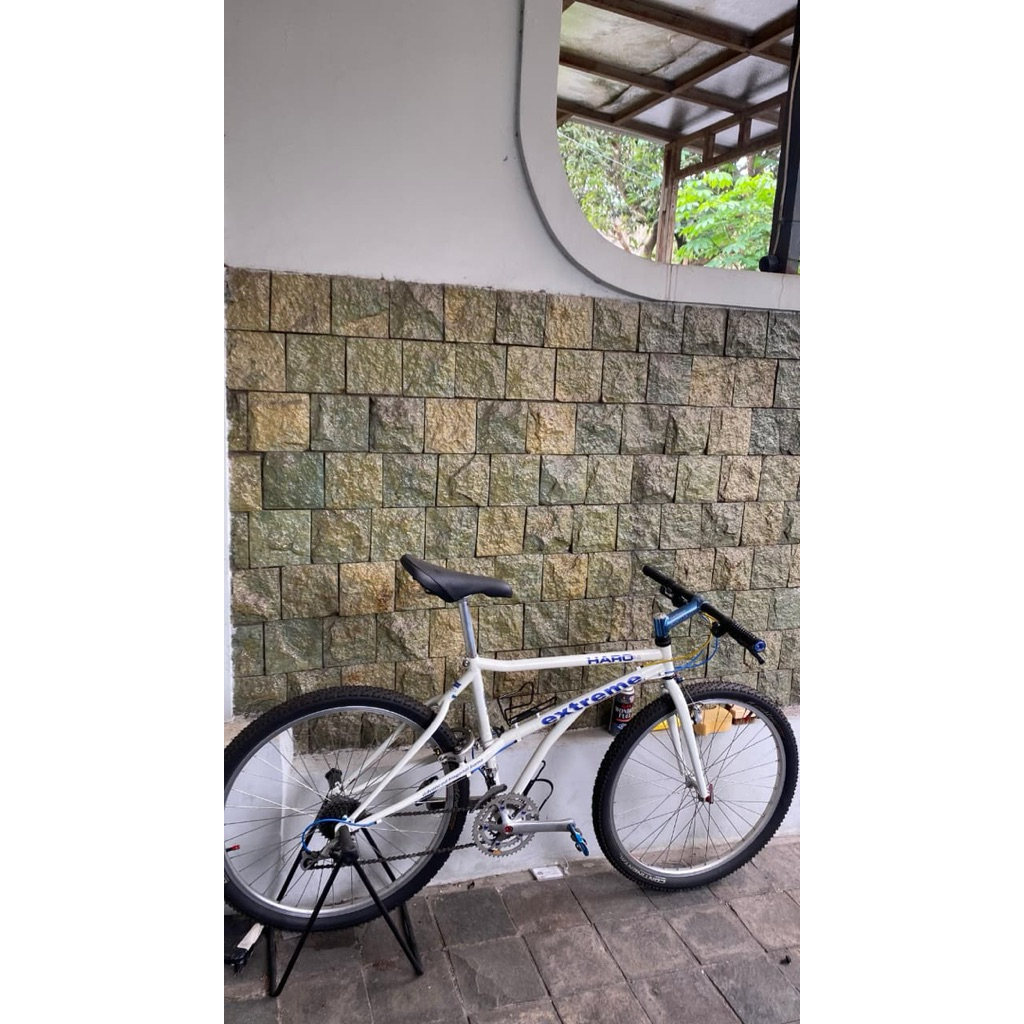 Sepeda Haro Extreme Comp USA MTB