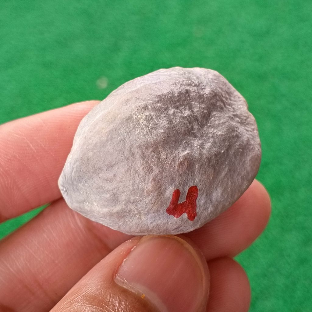 Muncang Adu Jabra RD original kode 4