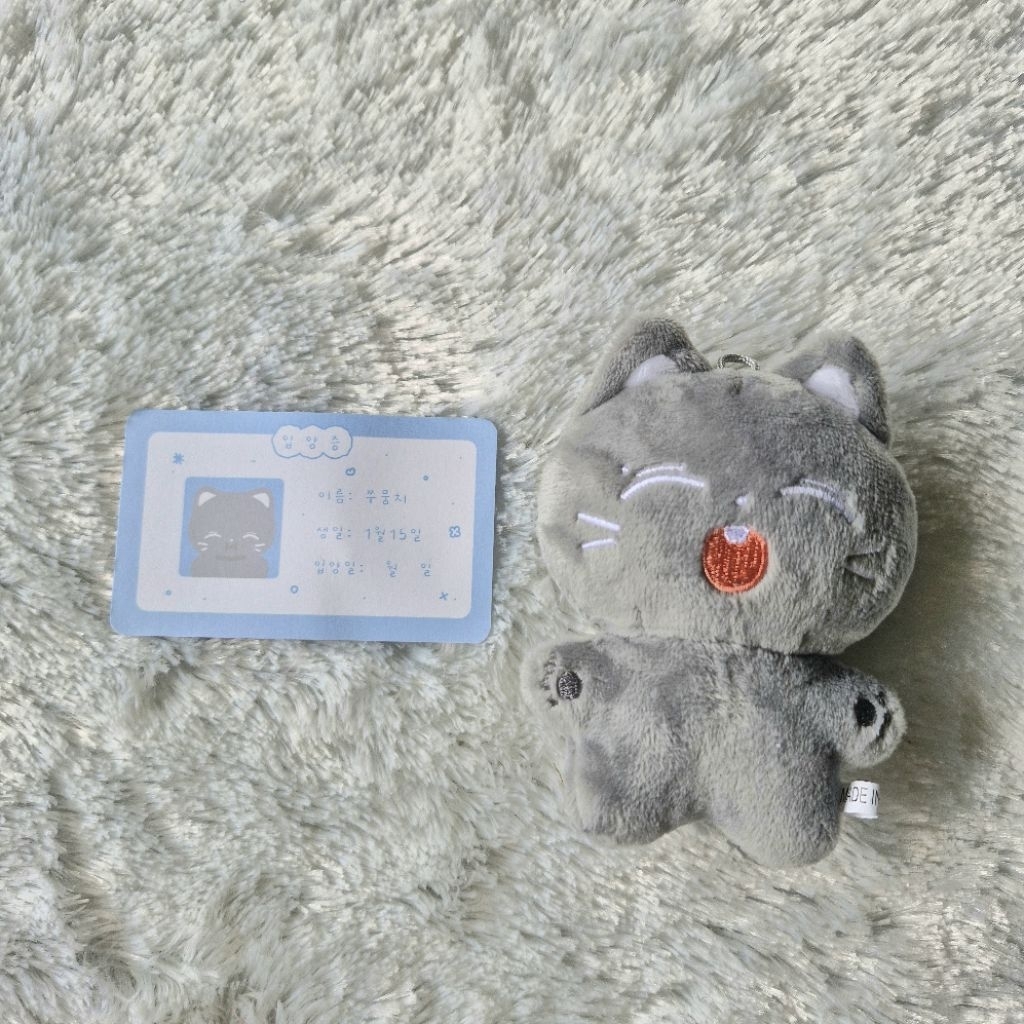 Doll Boneka Juyeon The Boyz Doll Kpop Doll The Boyz Doll