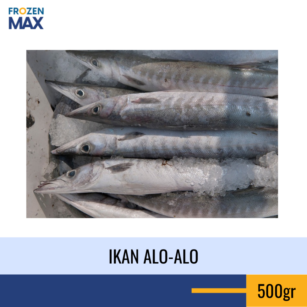 Ikan Alo-Alo