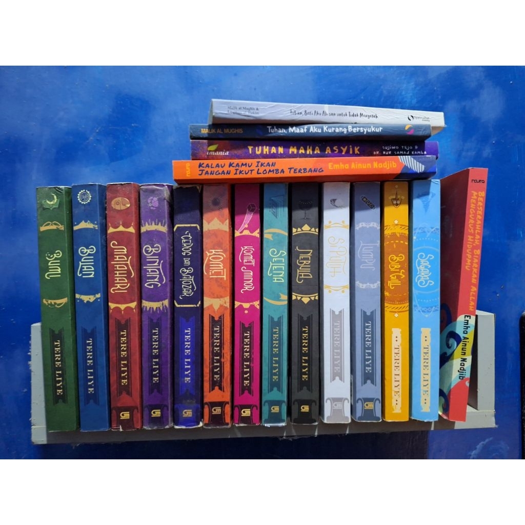 novel preloved tereliye bumi series