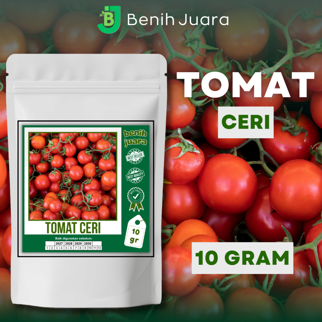 (10 GRAM) BIJI BENIH TOMAT CERI KEMASAN PREMIUM