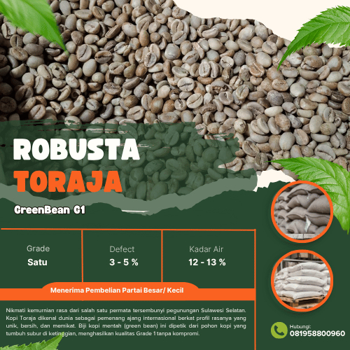 Grade 1 Robusta Toraja Green Beans | Biji Kopi Mentah