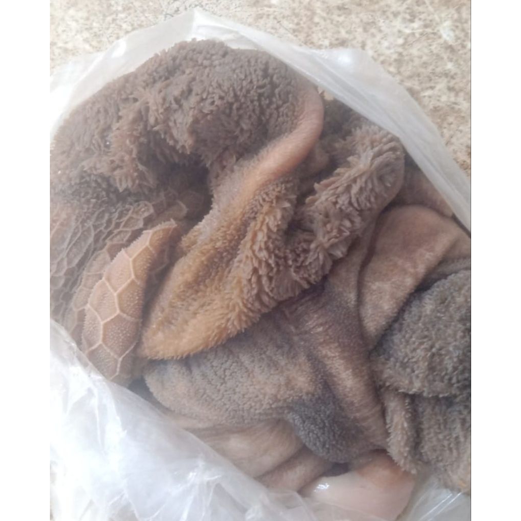 Babat jeroan kambing seger