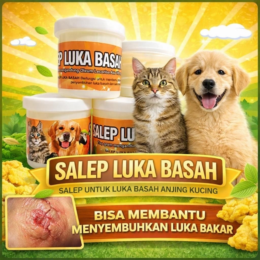 SALEP LUKA BASAH - Obat Luka Kucing Penghilang Borok Bekas Luka Kucing Pencegah Infeksi Luka Kucing