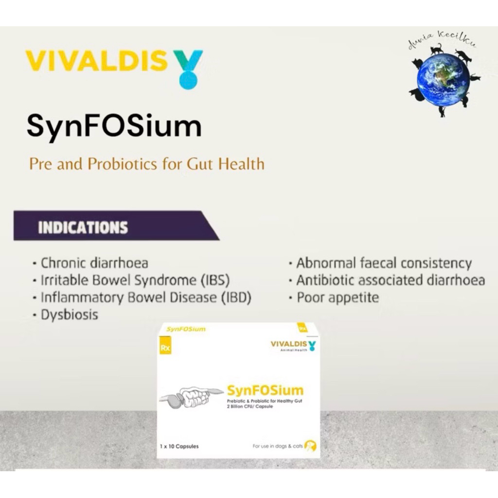 Vivaldis Synfosium Pre & Probiotik - Digestive / Diare Akut - Iritasi Usus - Radang Usus (5 KAPSUL)