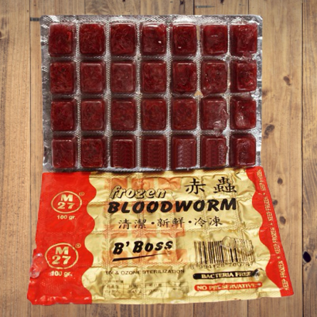 Cacing Beku Bloodworm