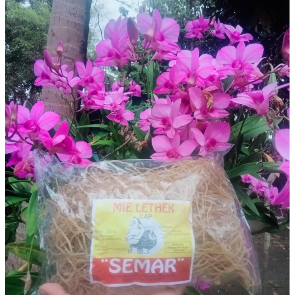 Original Mie Lethek Cap Semar Bakmi Khas Jogja Mi Nyemek Pilihan