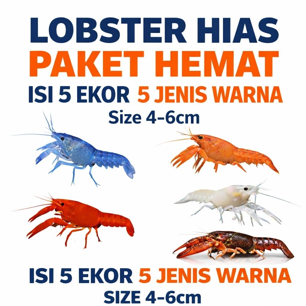 Lobster Hias 5 Jenis Isi 5 Paket Hemat Lobster Hias Aquarium