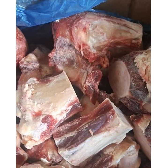 TULANG STENGKEL SAPI FROZEN