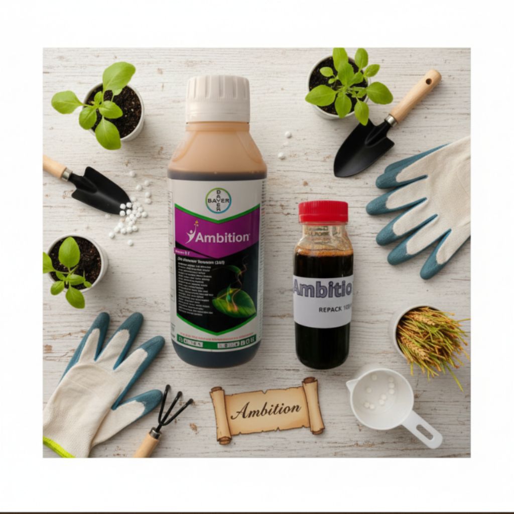 ambition kemasan 100 ml