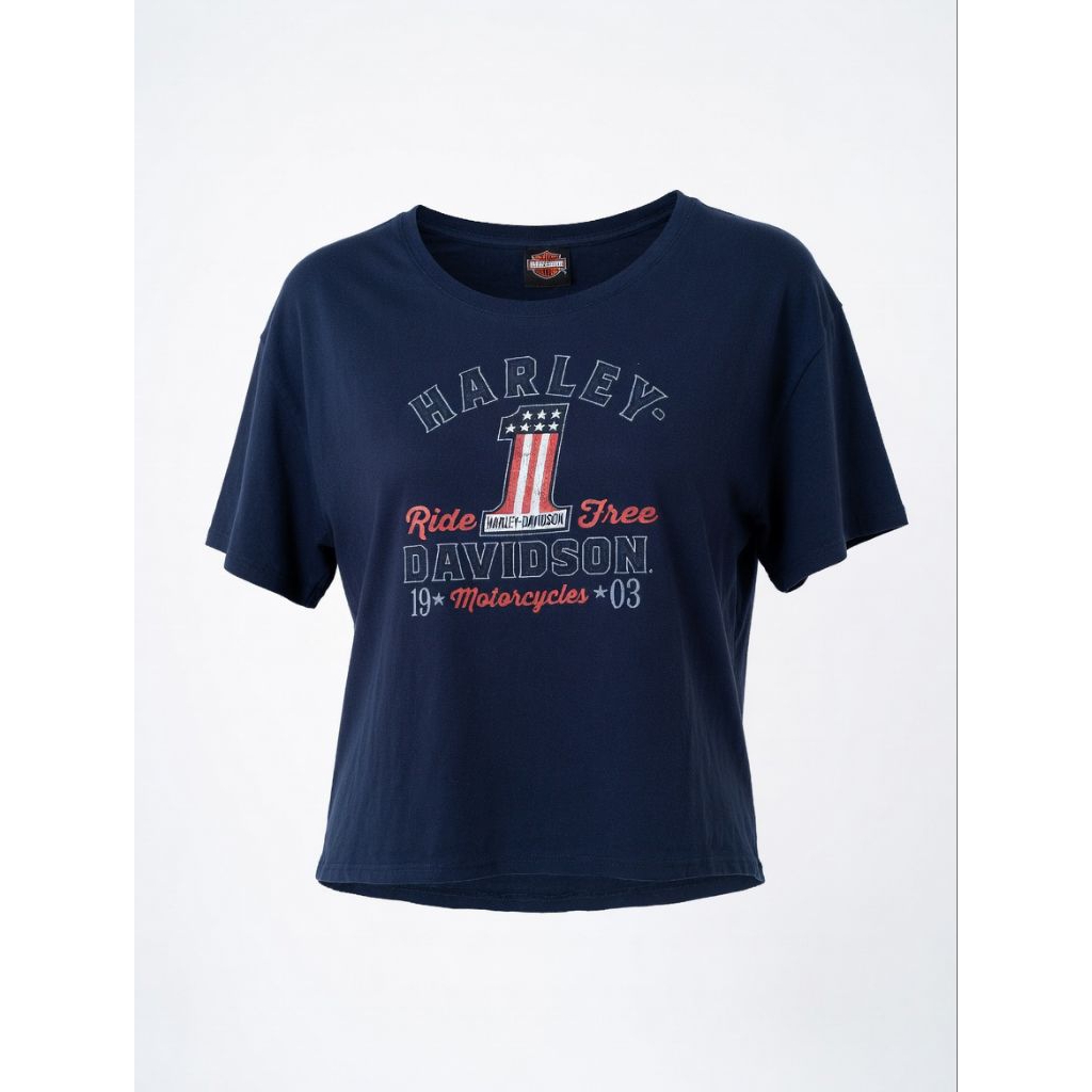 kaos boxy oversize HarleyDavidson bekas/second/pl/preloved