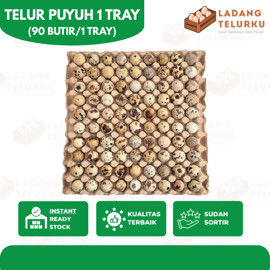 [LADANG TELURKU] TELUR PUYUH 1 TRAY Fresh 90 BUTIR / 1 TRAY Murah Grosir