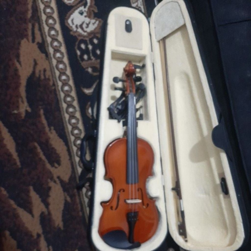 Biola Akustik-Elektrik Cowboy