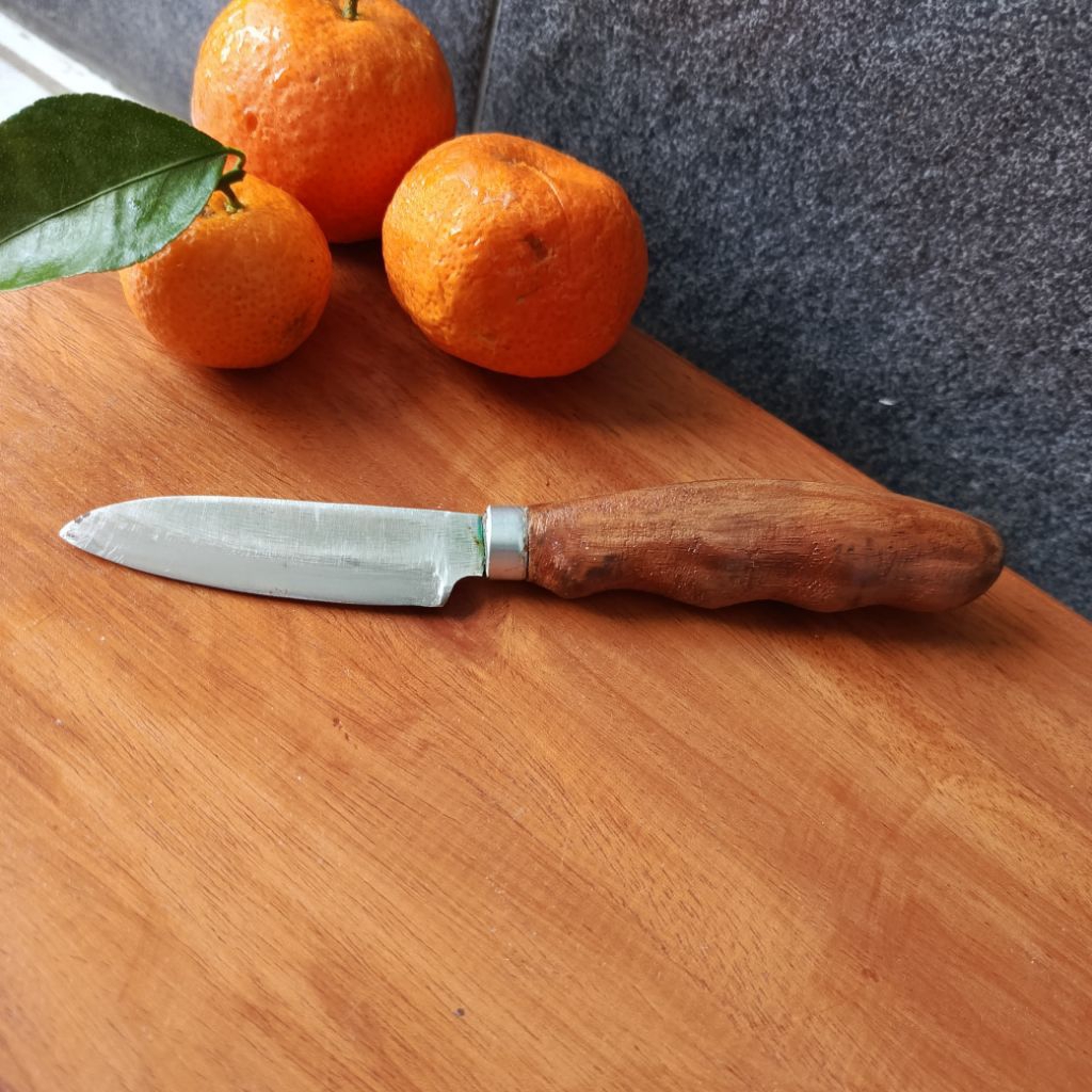 PISAU DAPUR MINI BAJA HSS  DM05 D2 GERMANY