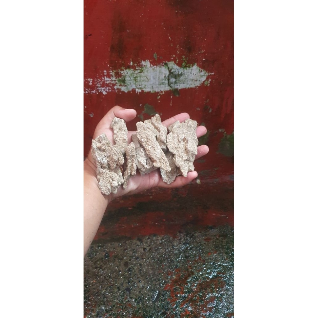 Batu pasir sand stone aquascape aquarium diorama paludarium biotop