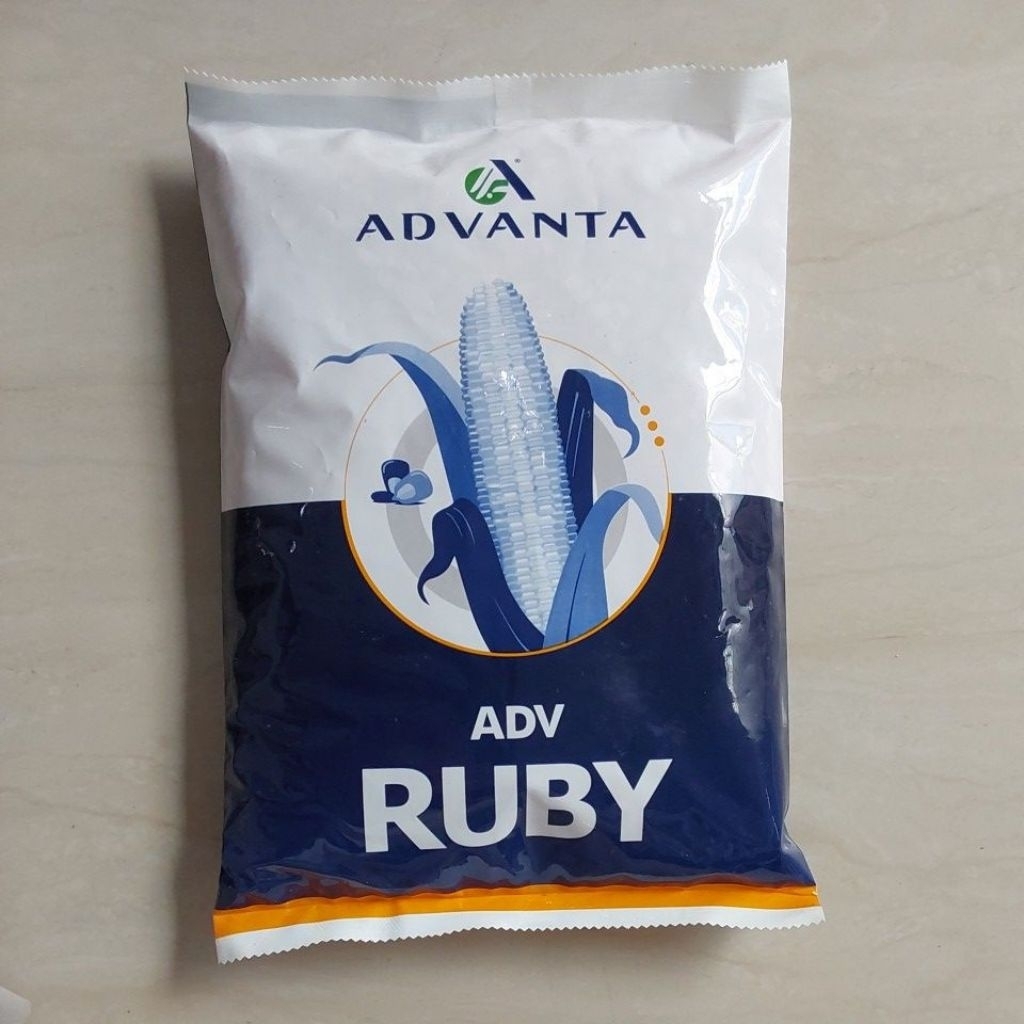 Jagung Hibrida ADV RUBY