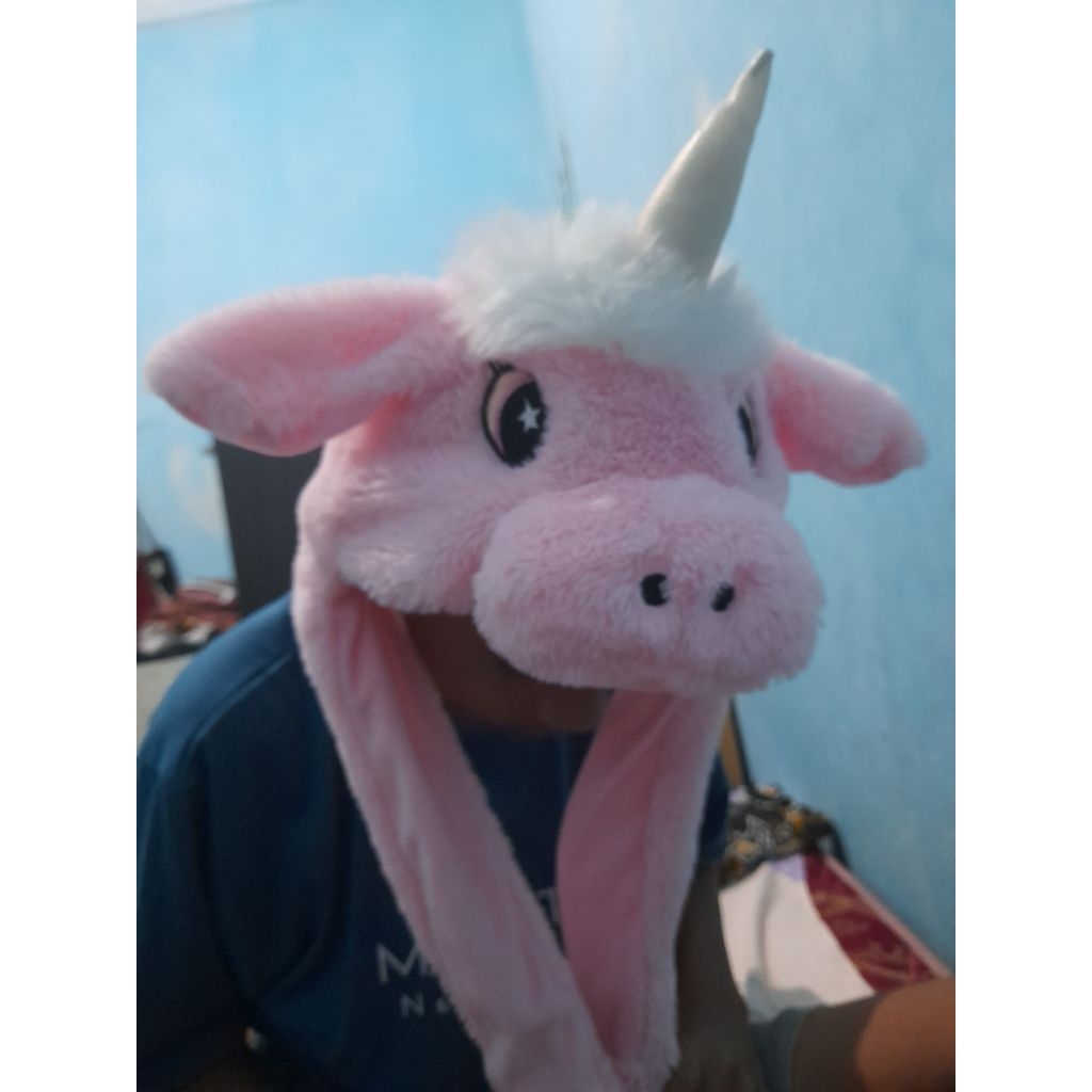 Topi Viral Tiktok Kuda Poni (preloved)