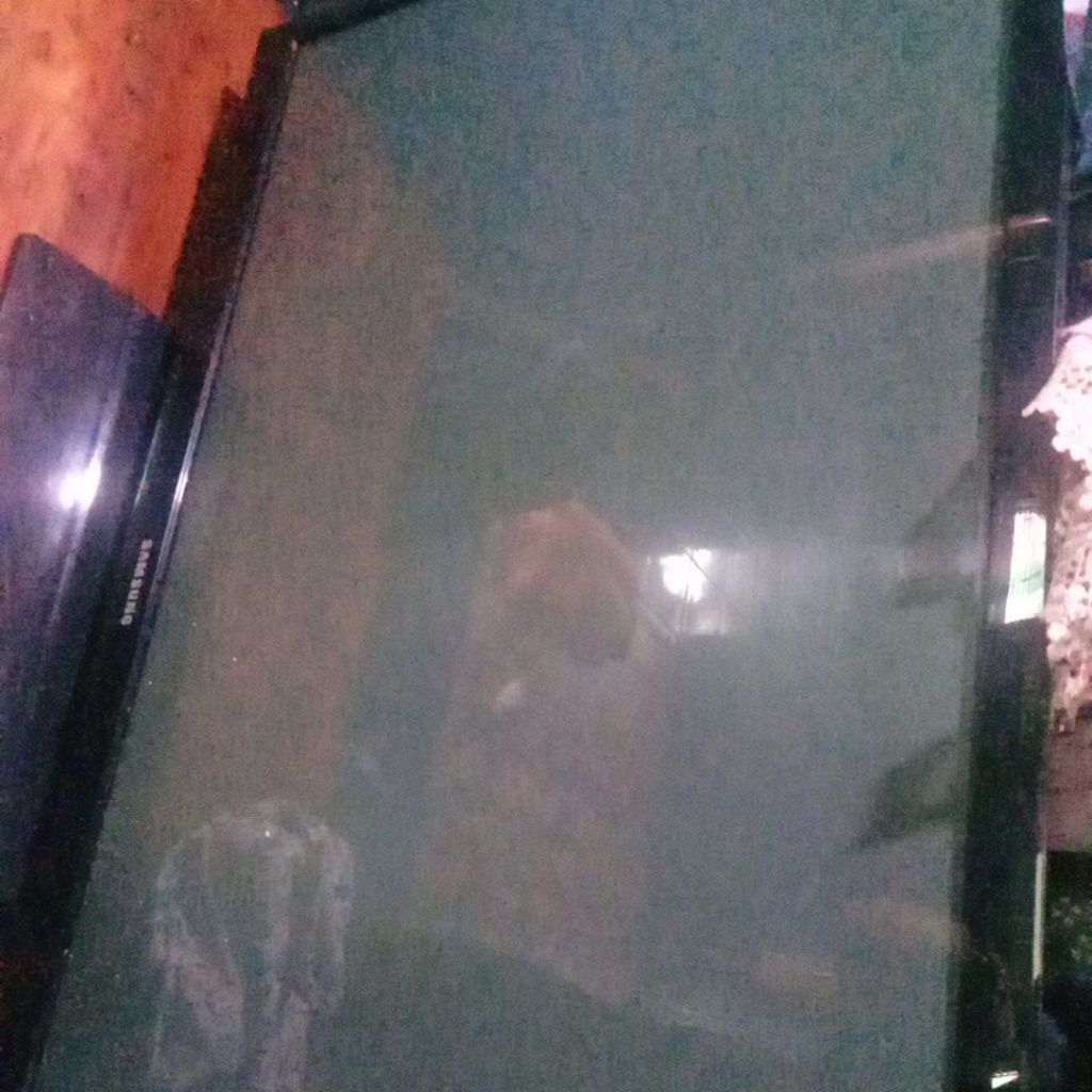 tv samsung 42 inci