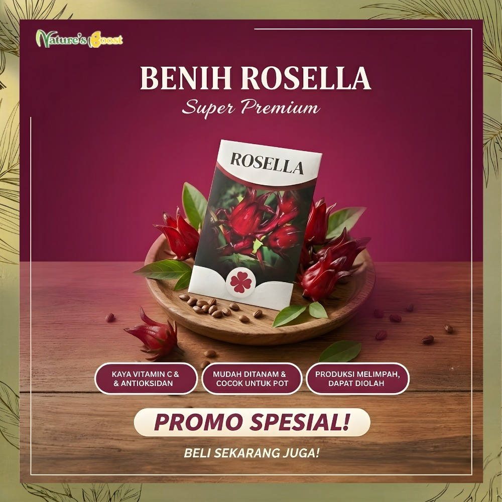Natures Boost- JUAL BENIH  ROSELLA (Hibiscus sabdariffa) BENIH UNGGUL, BENIH SUPER