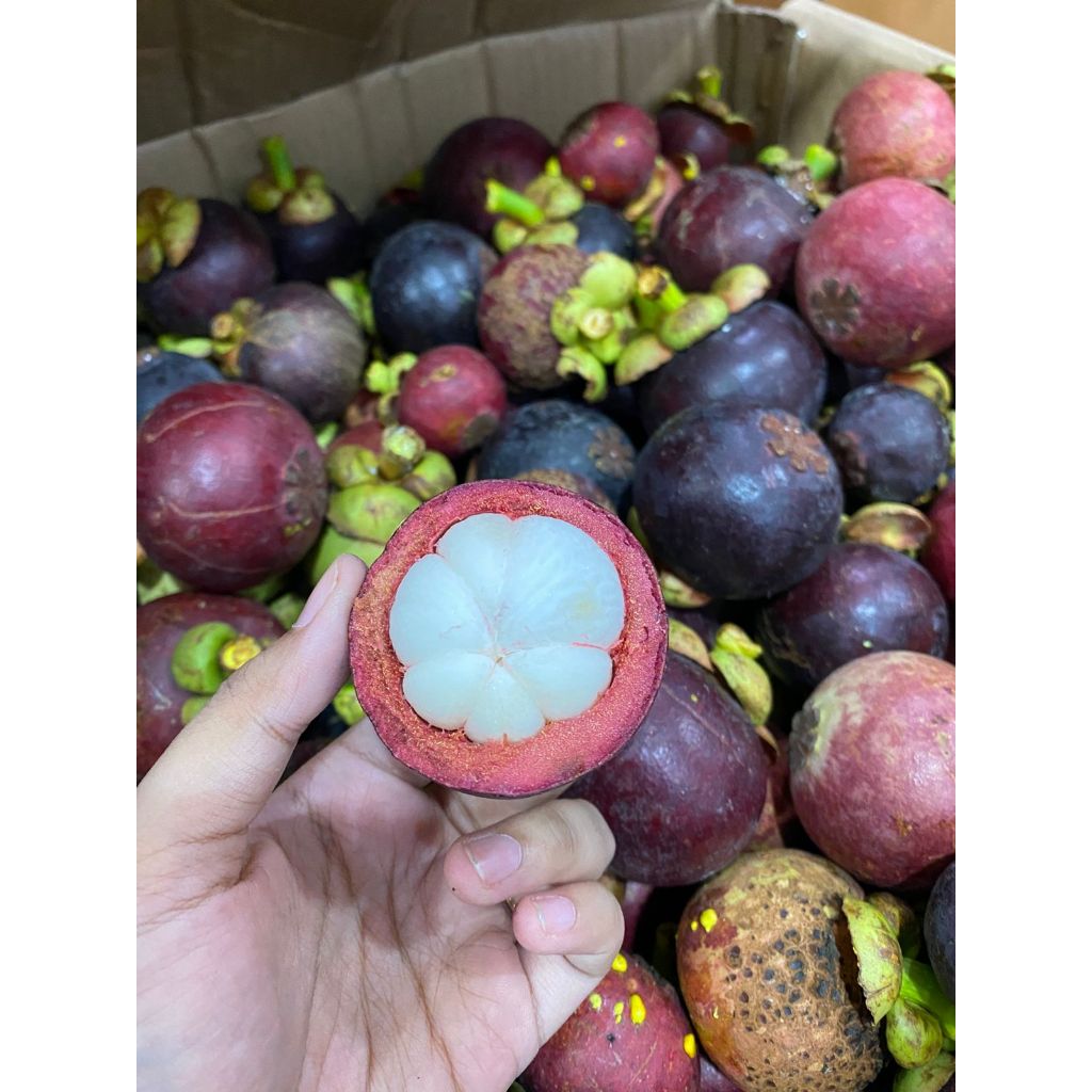 MANGGIS ENAK. MANGGIS PADANG MANGGIS MANIS BUAH FRESH