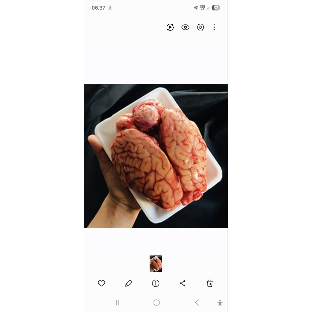 Otak Sapi Segar Fresh Siap Kirim